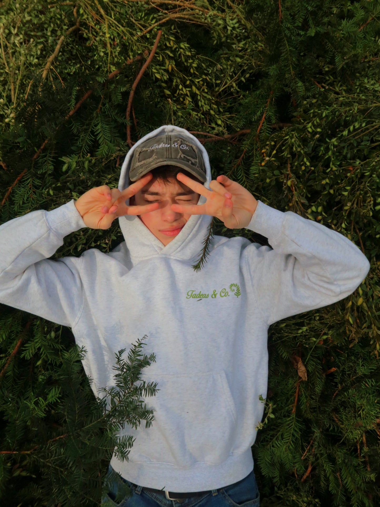 Grey Forest Hoodie