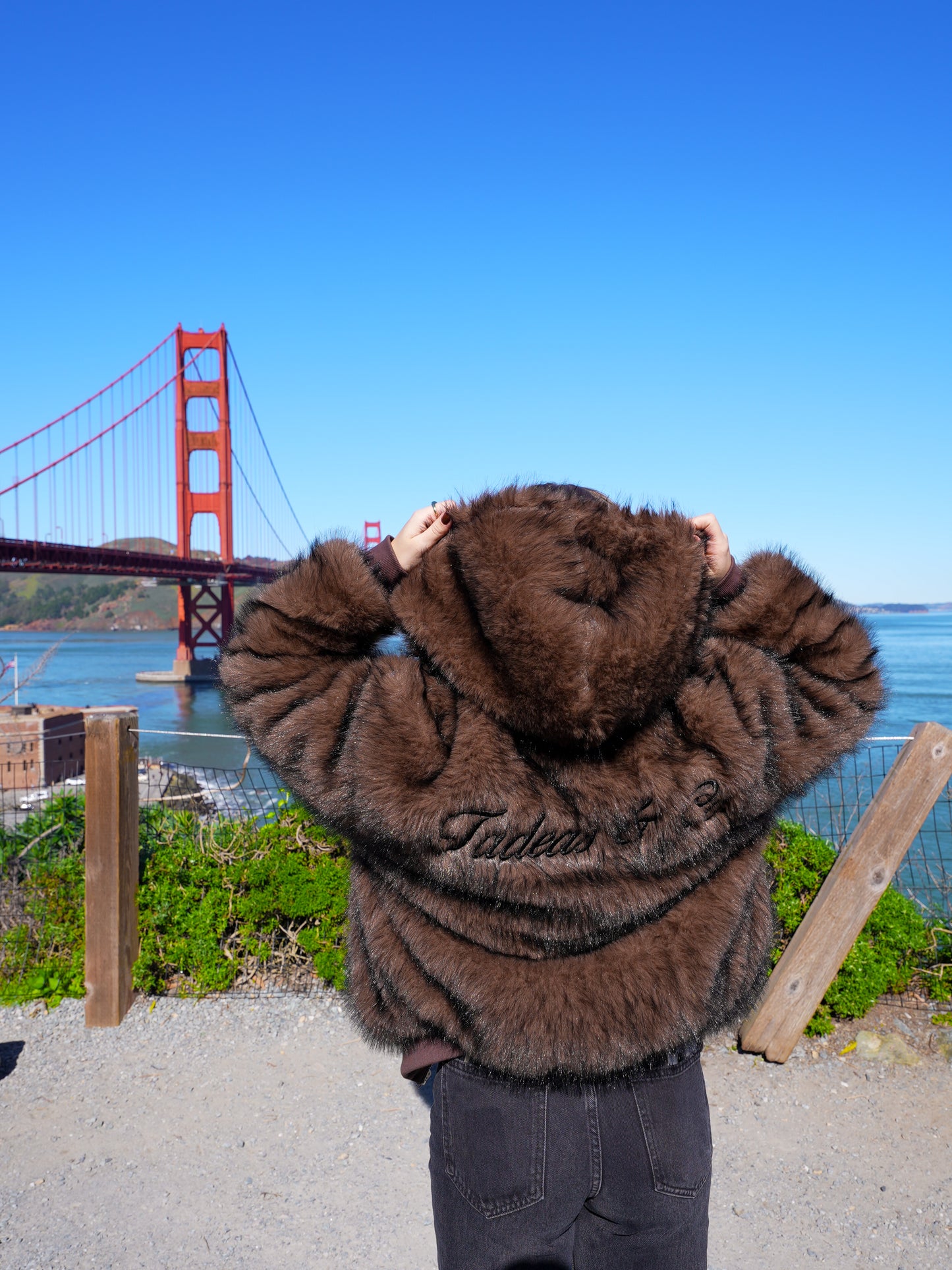 Brown Faux Fur Coat with Hood