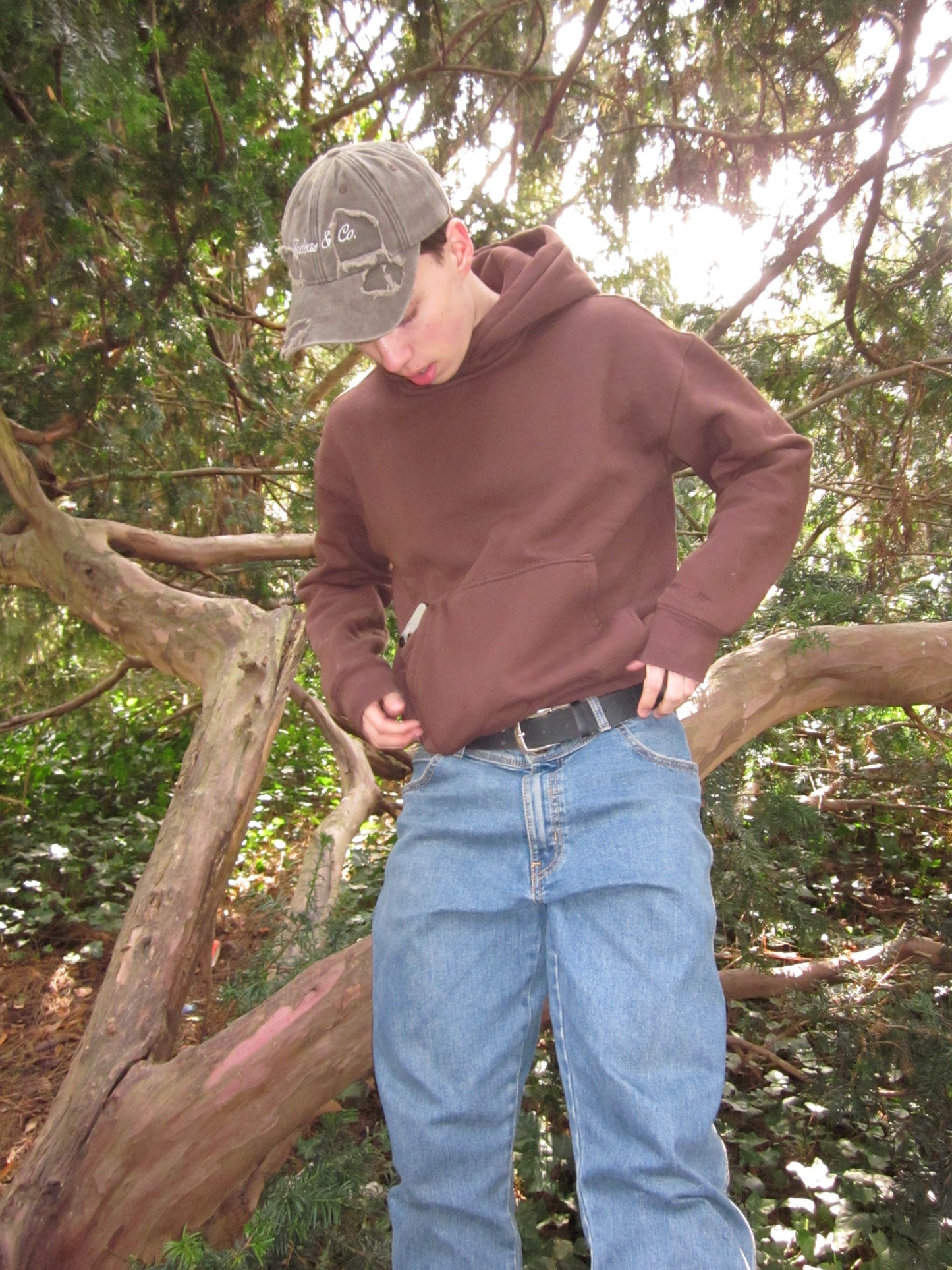 Brown Forest Hoodie