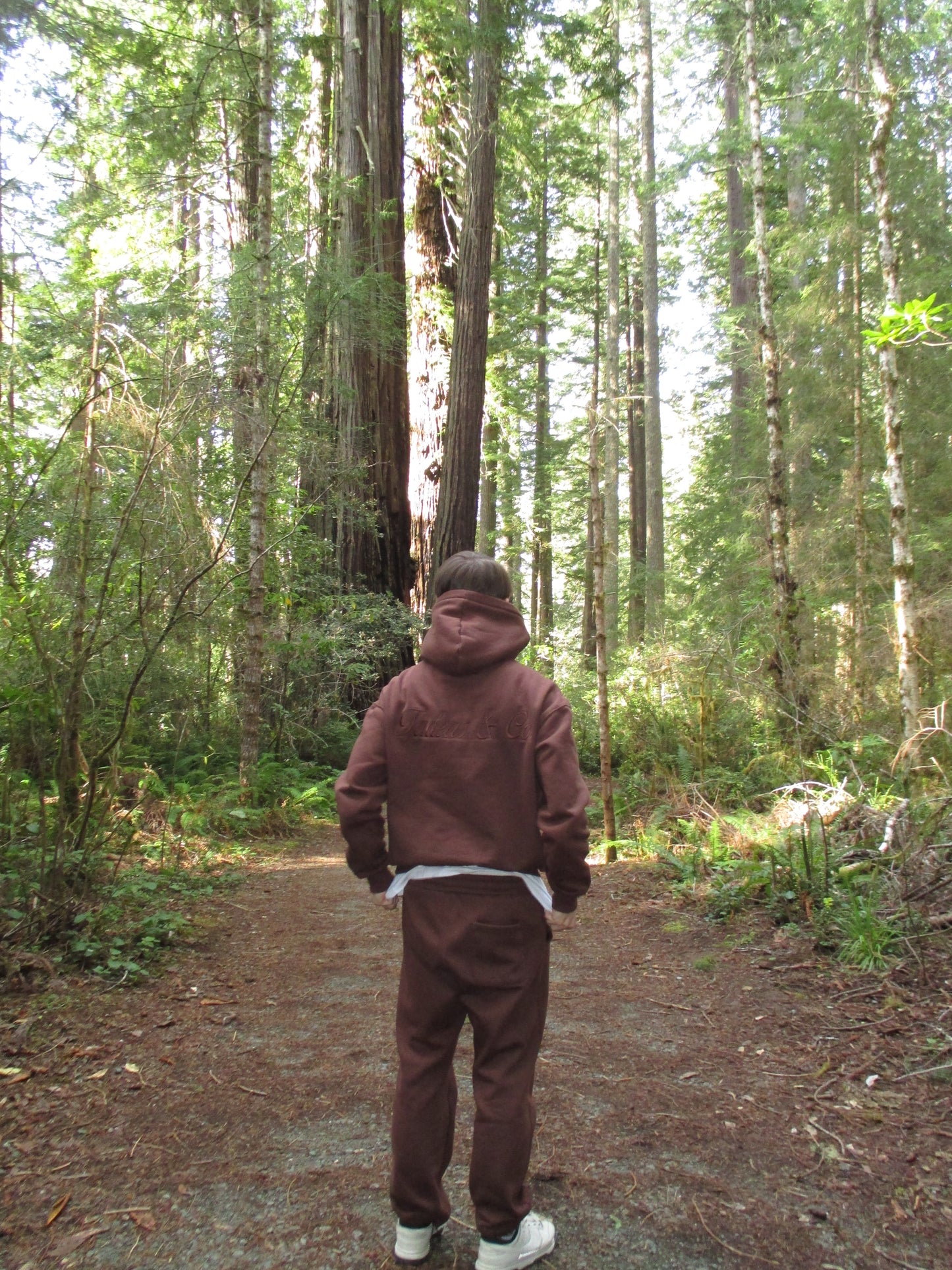 Brown Forest Hoodie