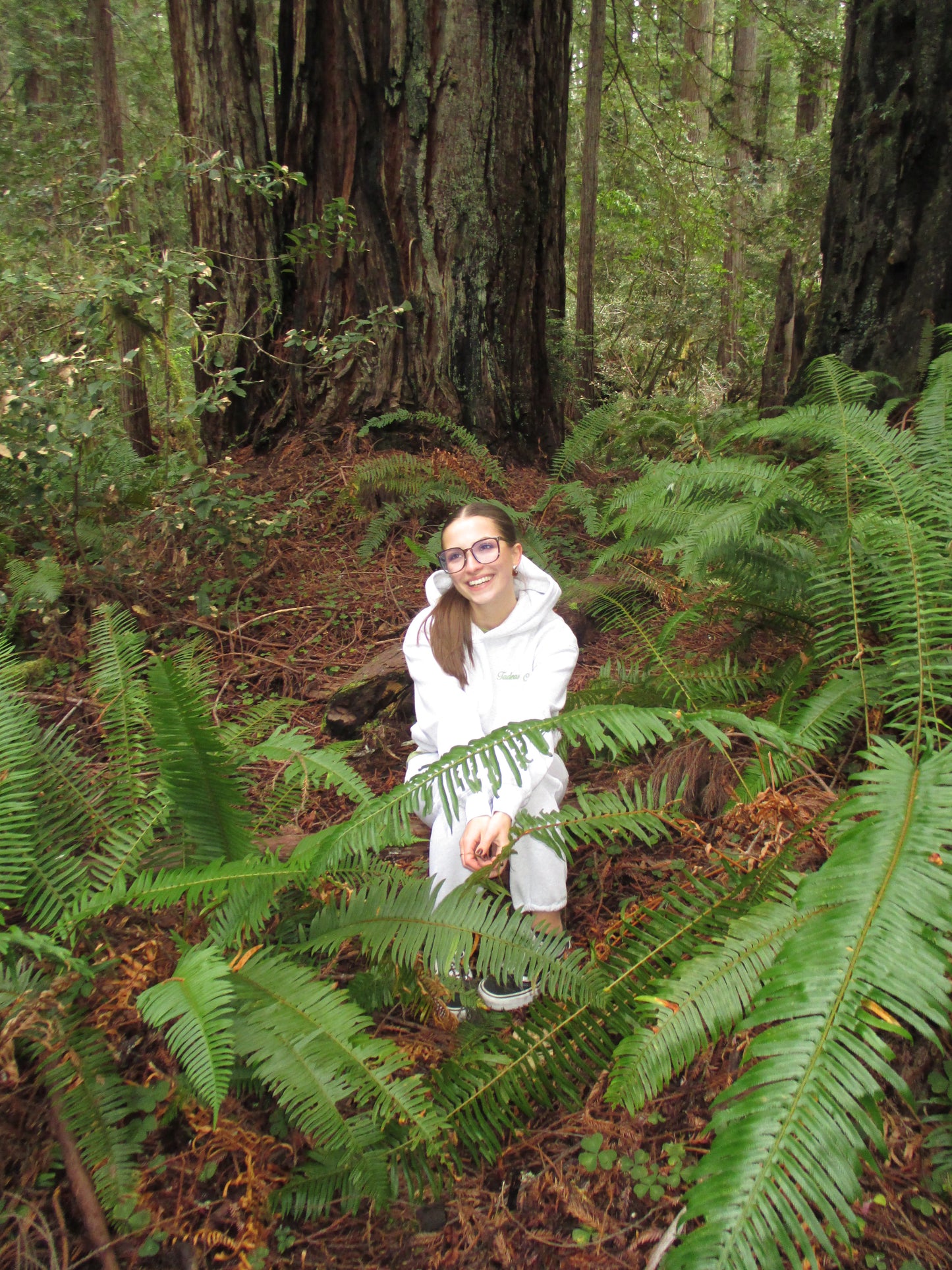 Grey Forest Hoodie