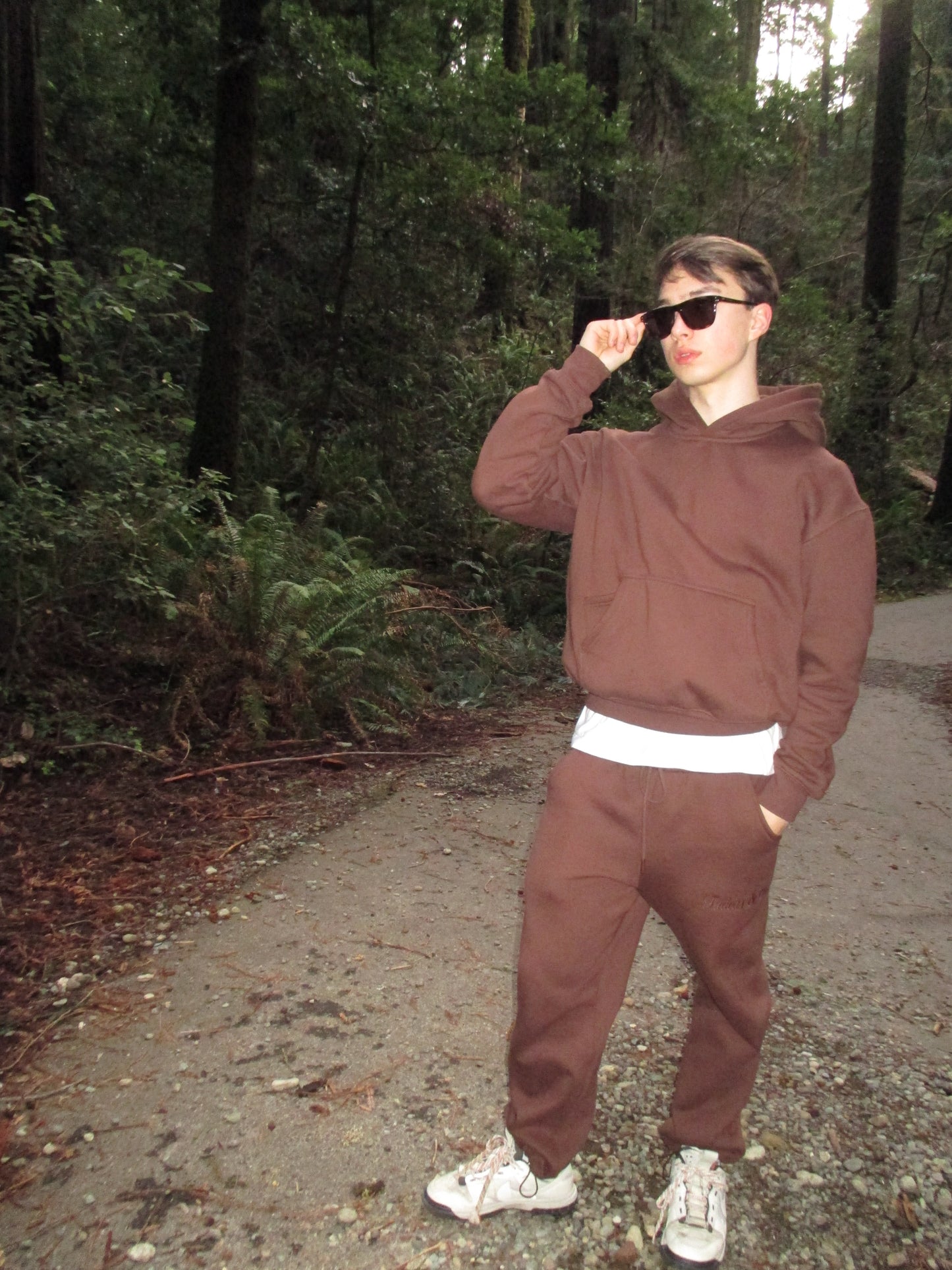 Brown Forest Hoodie