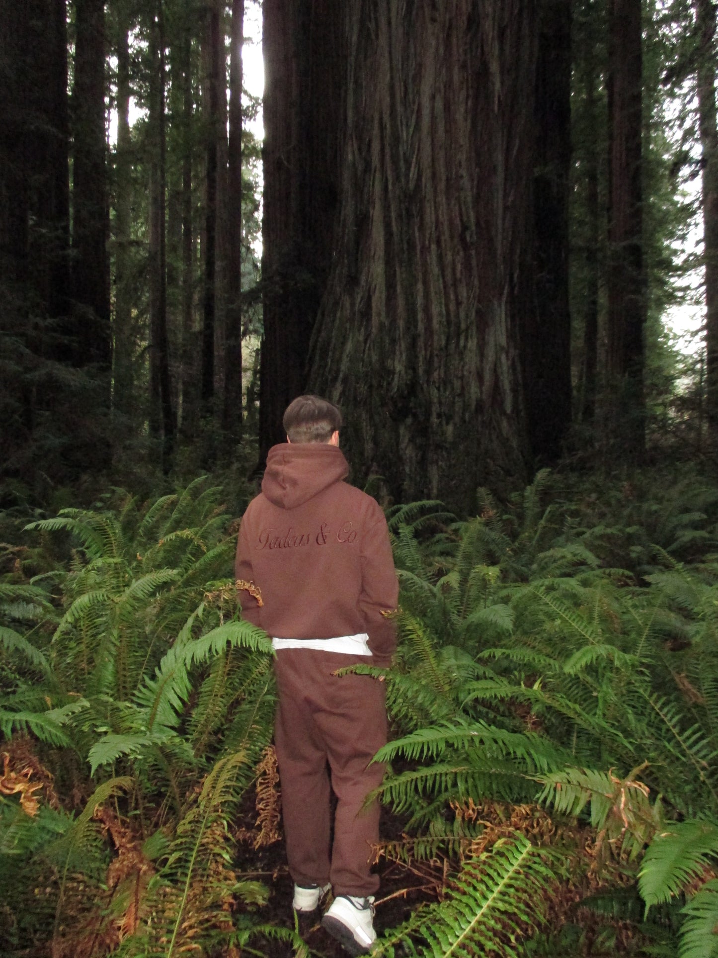 Brown Forest Hoodie