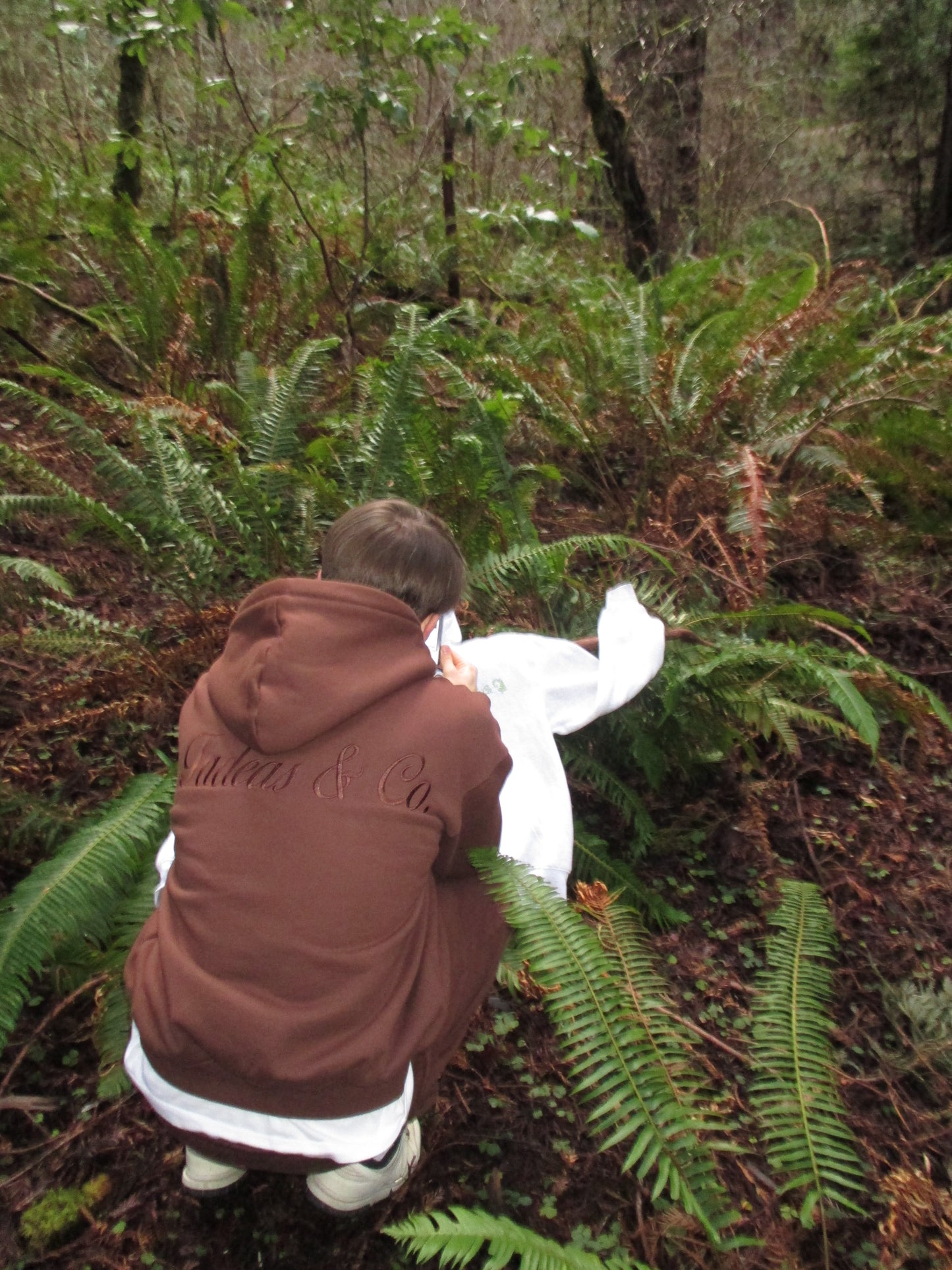 Brown Forest Hoodie