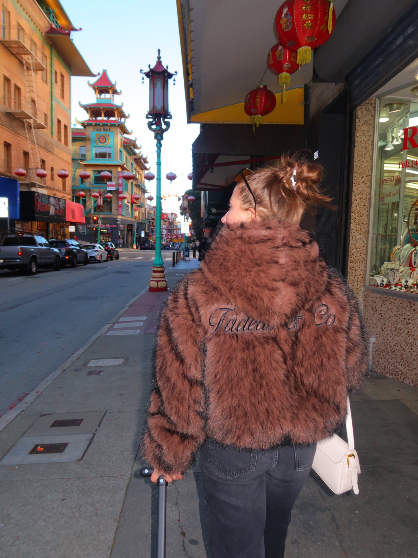 Brown Faux Fur Coat with Hood