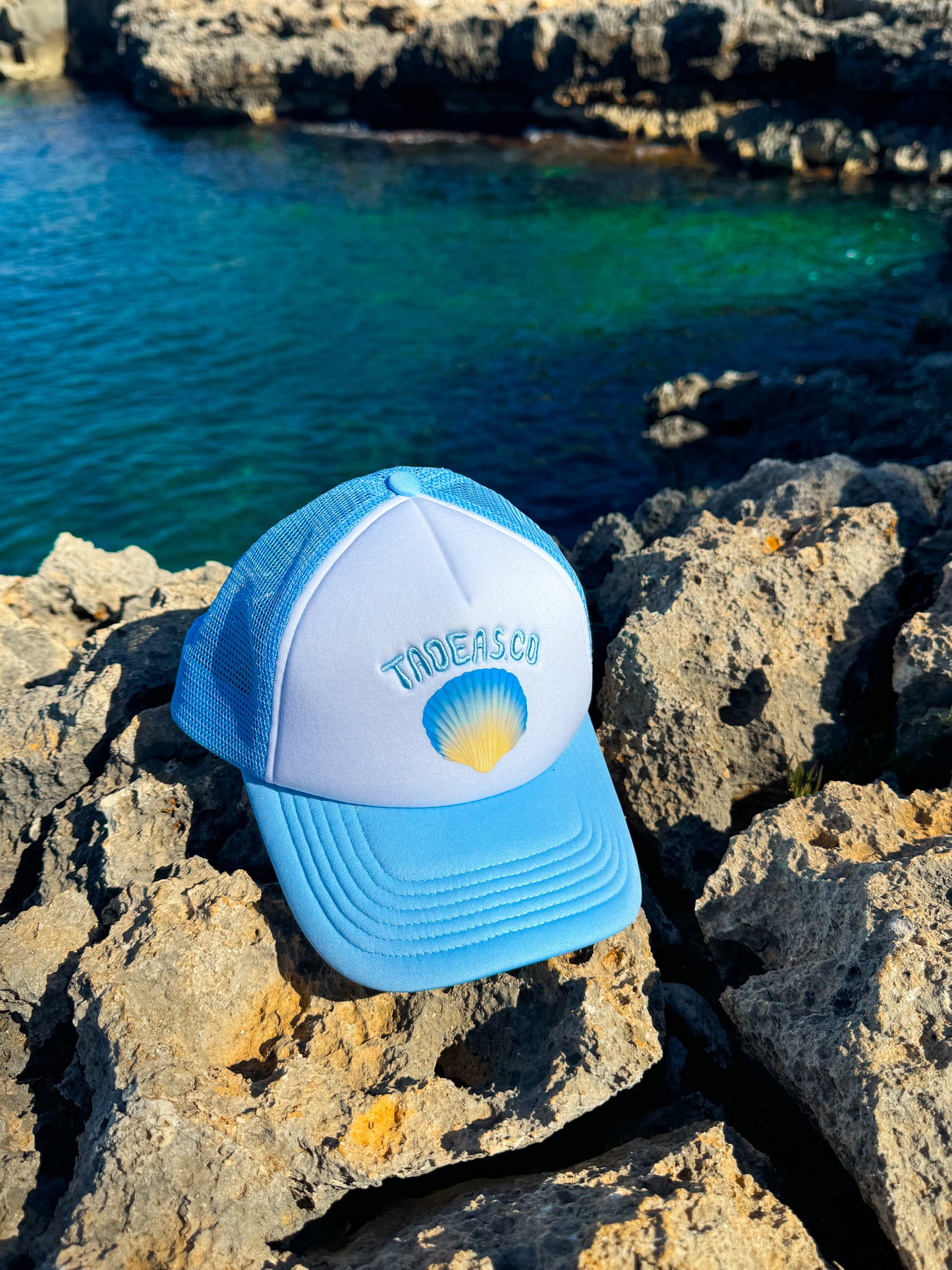 TRIO: Blue, Pink & Brown Trucker Hat (9542606291280) (9300495565136)