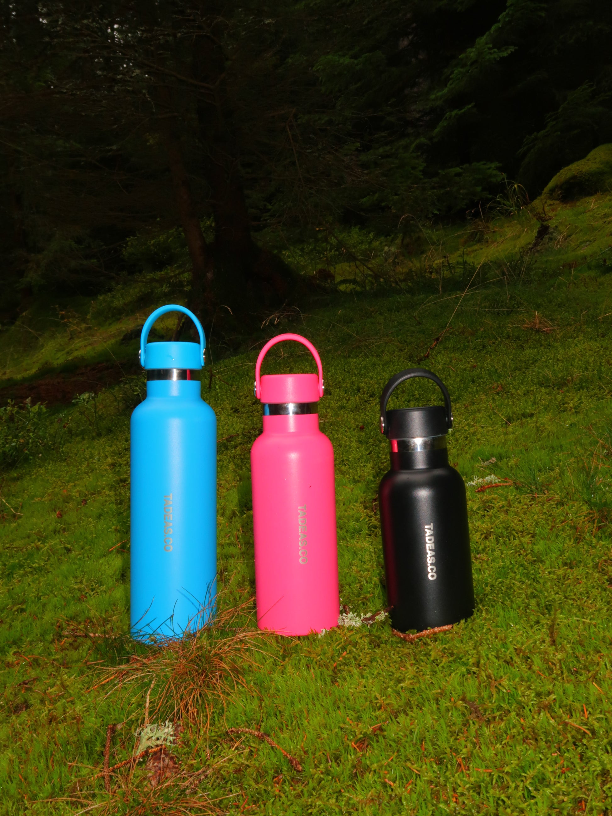 THE EVERYDAY BOTTLE SET: 350ML, 500ML, 770ML (9663020302672)