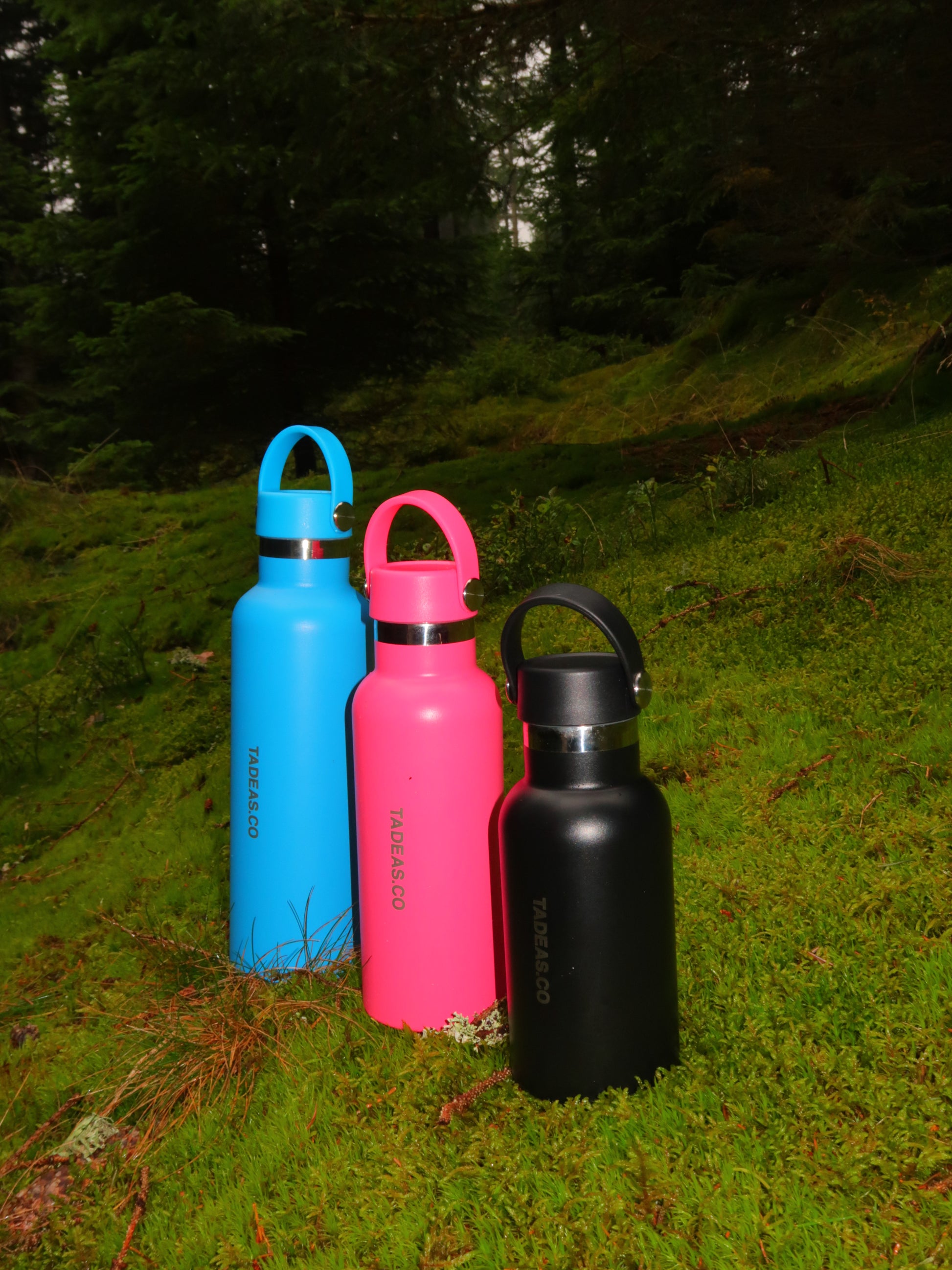 THE EVERYDAY BOTTLE SET: 350ML, 500ML, 770ML (9663020302672)