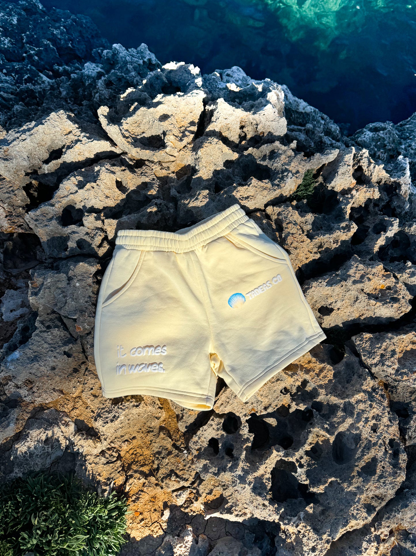 SHORTS "IT COMES IN WAVES" (9300489765200)