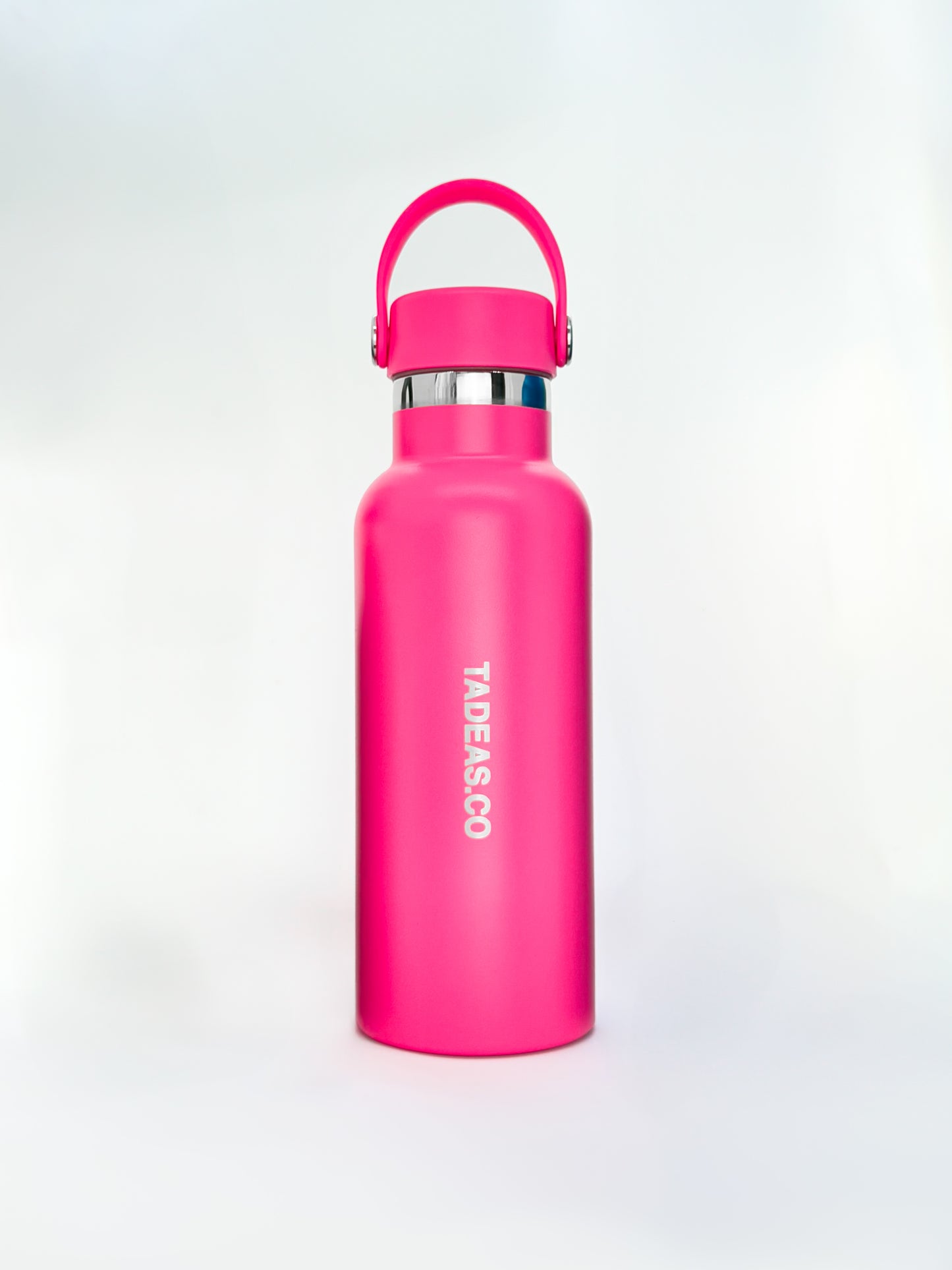 THE EVERYDAY BOTTLE 500ML (9662420451664) (9300488782160)