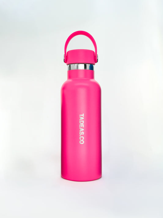 THE EVERYDAY BOTTLE 500ML (9662420451664) (9300488782160)