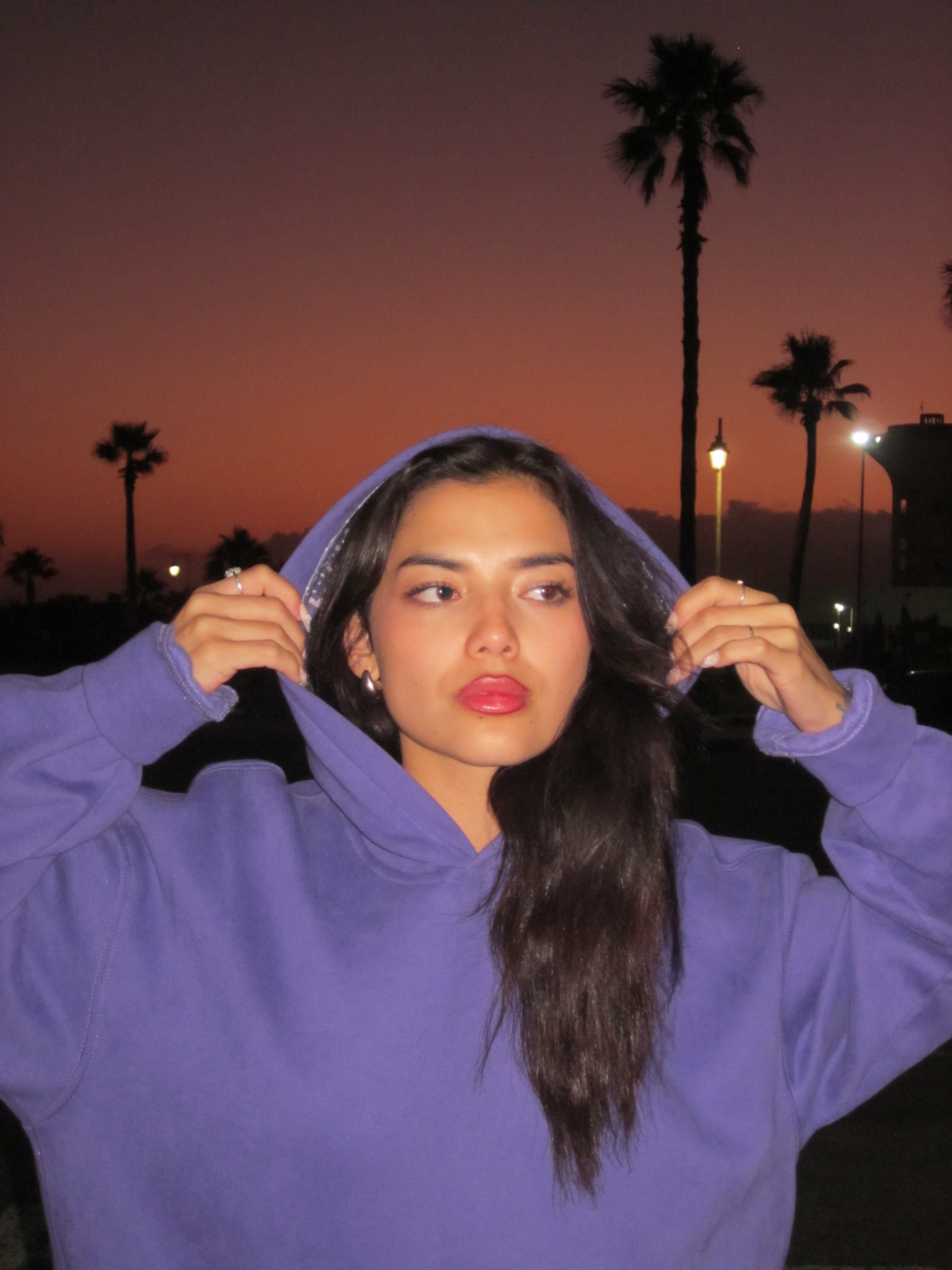 Royal purple hoodie