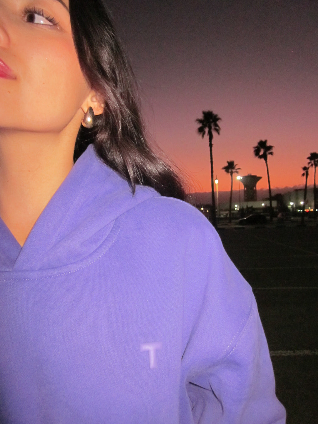 Royal purple hoodie