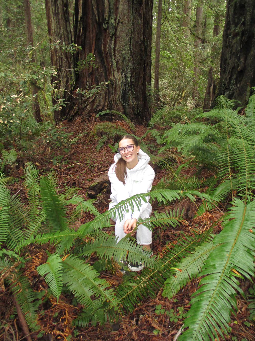 Grey Forest Hoodie