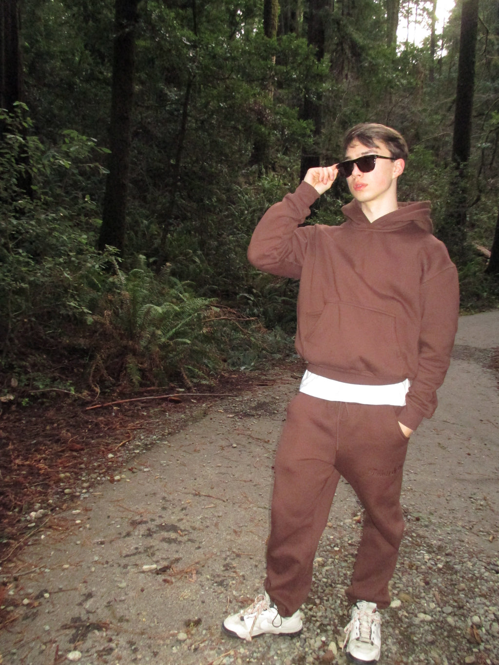 Brown Forest Hoodie