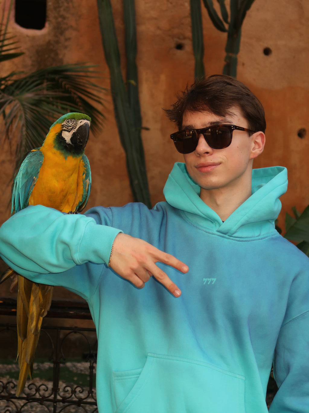 The 777 hoodie