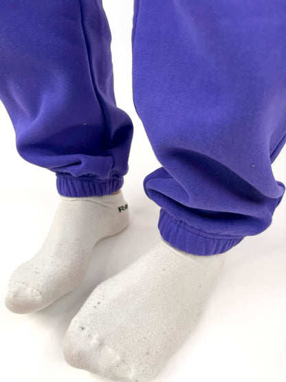 Royal purple sweatpants
